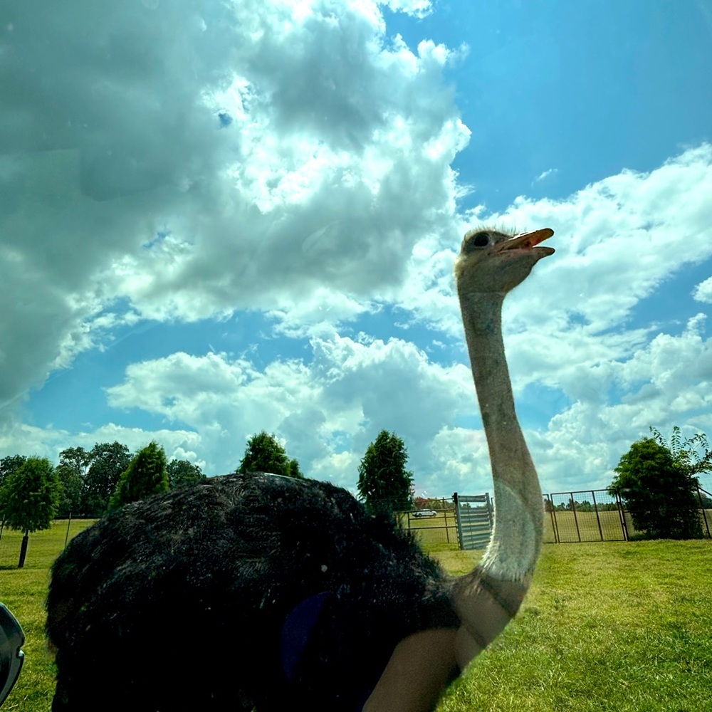 Meet your Posher, Mimi.